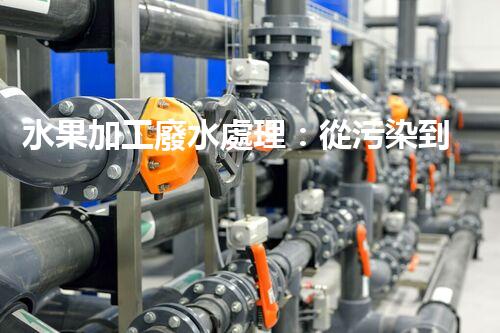 水果加工廢水處理：從污染到資源的艷麗轉(zhuǎn)變！